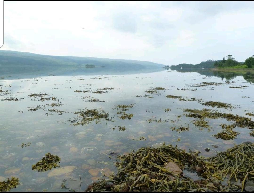 Quirky Lochside Home Inveraray Buitenkant foto